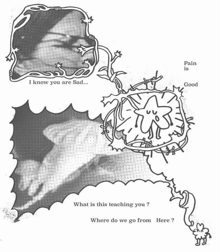 .☆。* Sea stars .•*☆.